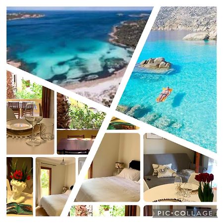 Nest House - Esclusivo Appartamento Marina Di Olbia- Mater Olbia - Beaches - Close To The Airport - Private Parking- Full Comforts - Luaran gambar